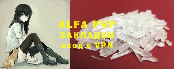 крисы Алзамай