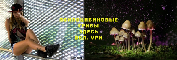 спайс Алексеевка
