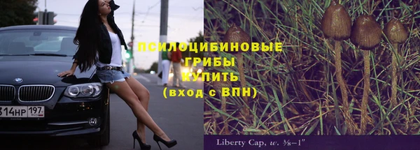 тгк Михайлов